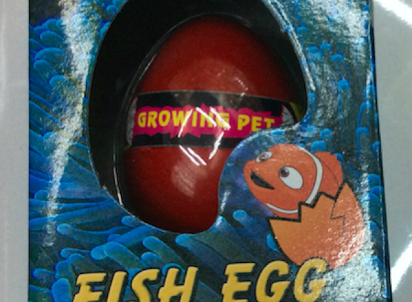 Growing egg