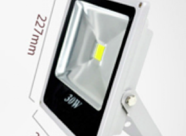 LED floodlight IP66 2250 lumen