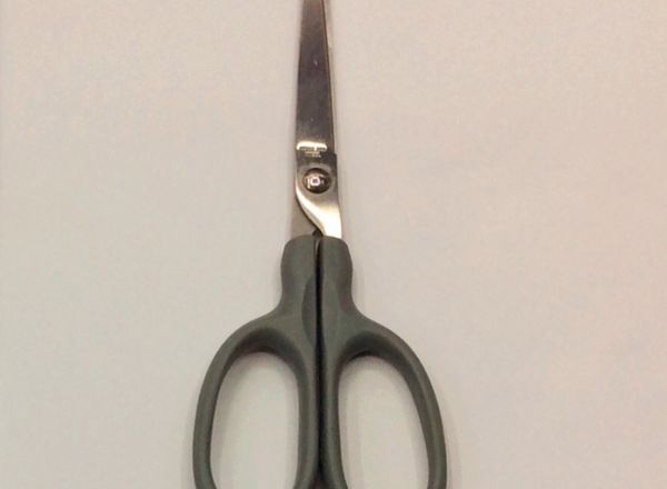 Scissors 17.2 cm
