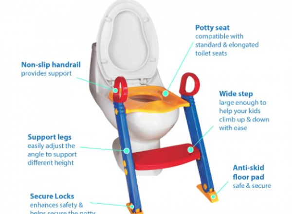 Toilet ladder chair
