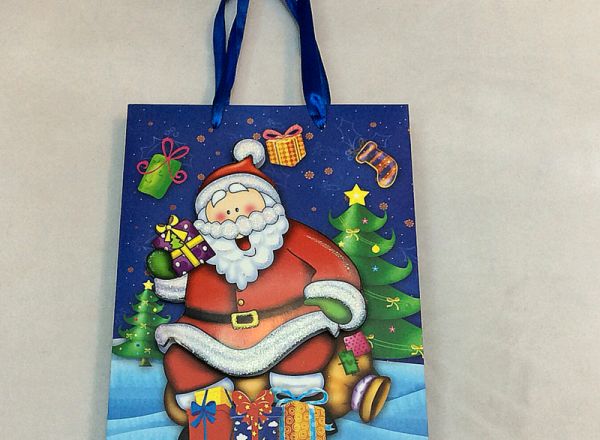 Gift bag 31x42x12 cm