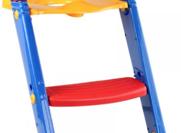 Toilet ladder chair