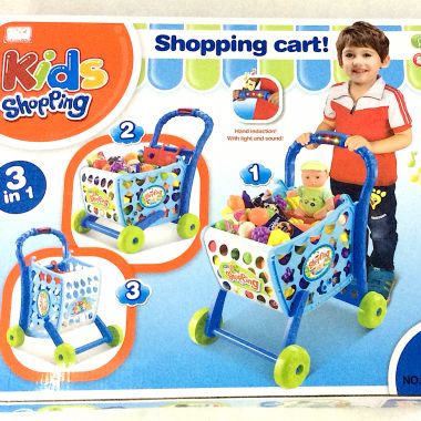 Shopping cart play set